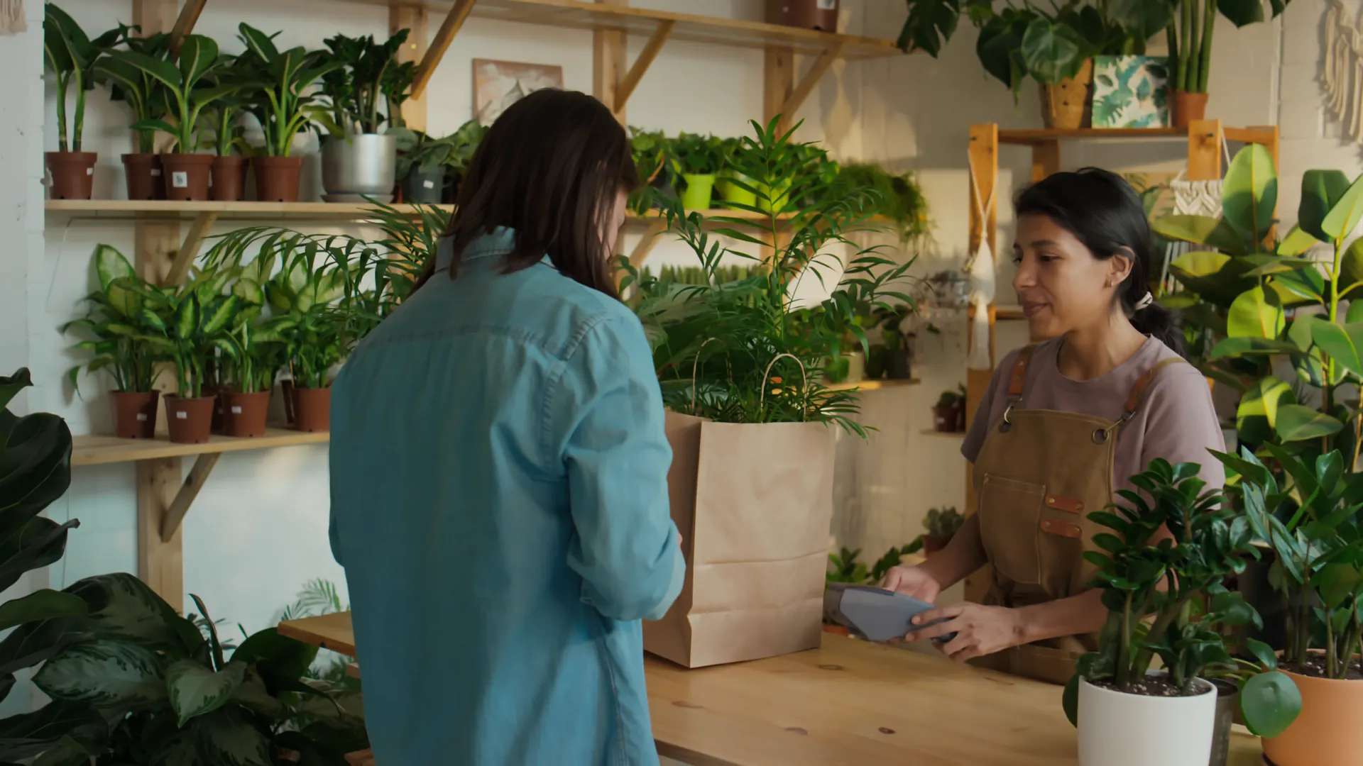 A shopper paying by card at a garden centre counter while the clerk bags a potted plant