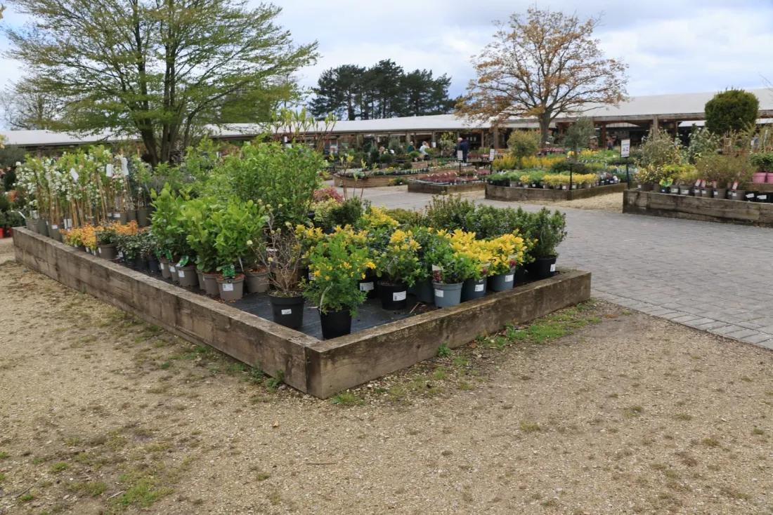 AMS Garden Center POS for garden centers and nurseries