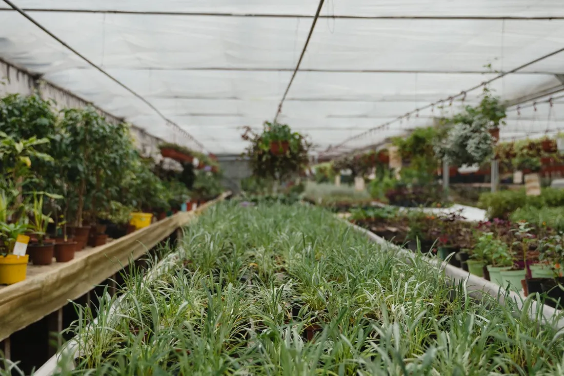 AMS Garden Center POS for the green industry